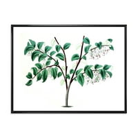 Дизајн на „Антички зелени лисја растенија I“ Традиционална врамена платно wallидна уметност печатење