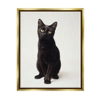 СТУПЕЛ ИНДУСТРИИ Симпатична црна мачка експресивни очи миленичиња портрет металик злато врамена пловечка платно wallидна уметност, 24х30