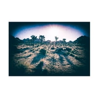 Josephозеф С Giacalone „гроздобер пустинска вибрација“ платно уметност