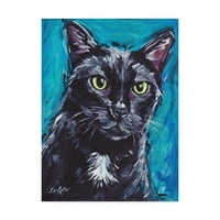 Трговска марка ликовна уметност „мачка црна мачка експресивна“ платно уметност од хипи -хунд студија