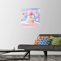 Аванти-Памук Бонбони Мачка Ѕид Постер Со Притисни Иглички, 14.725 22.375